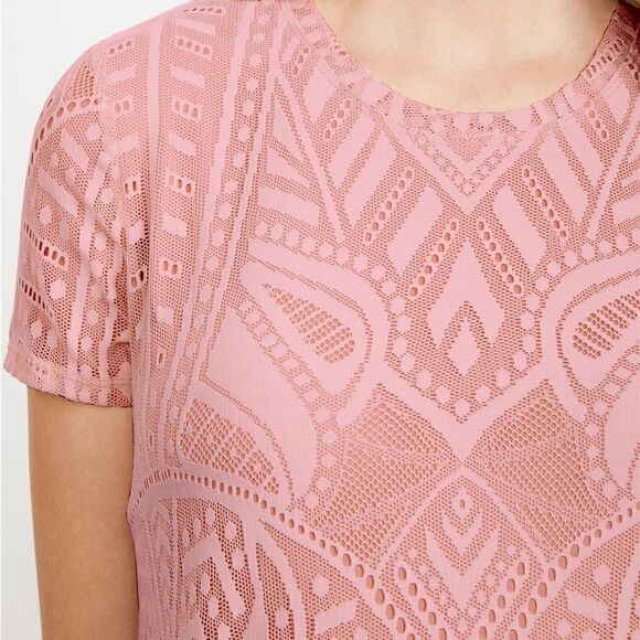 BCBGMAXAZRIA Lace Long Sleeve Maternity Dress dusty pink lace nude lining (H1) - Picture 4 of 12